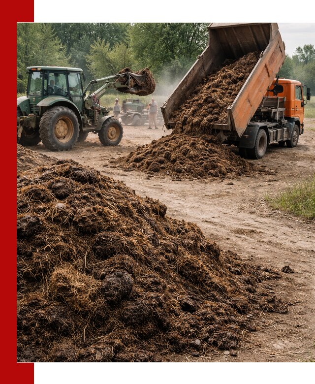 Доставка навоза самосвалами в Бердске для сельхозпотребностей