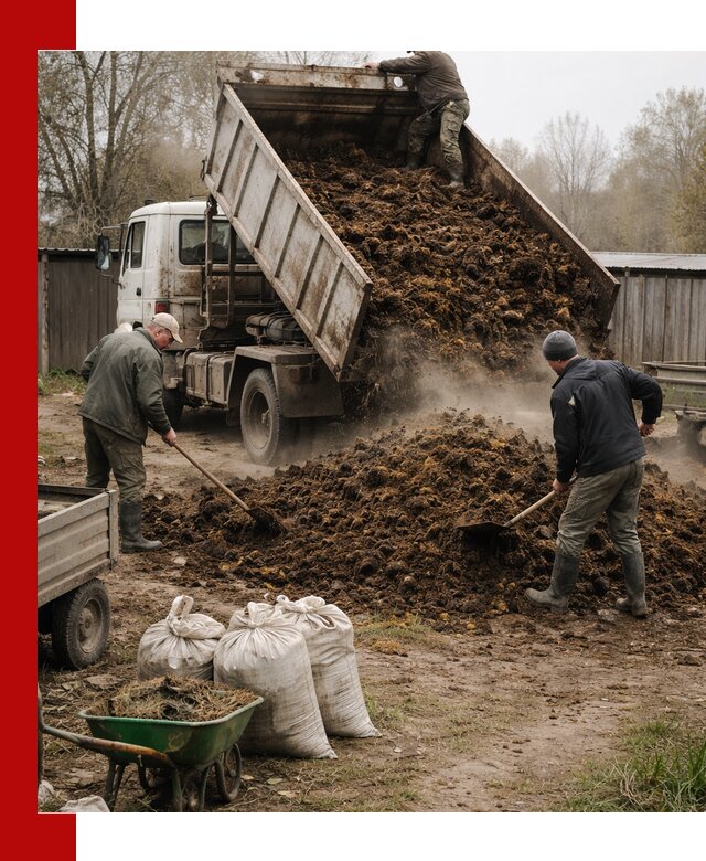 Доставка коровьего навоза самосвалом в Бердске